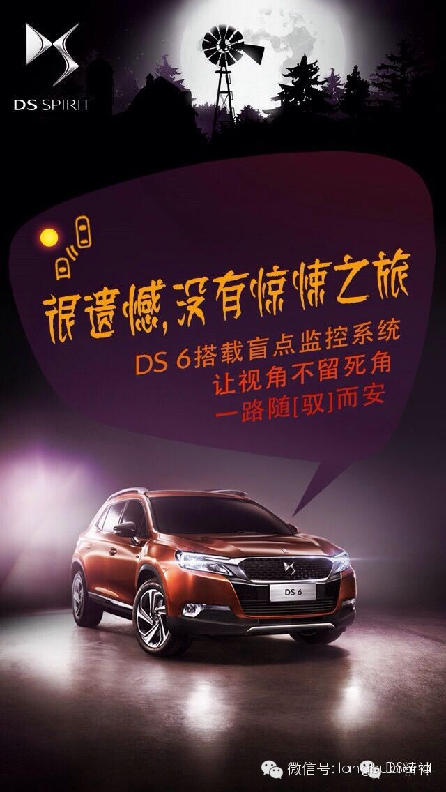 DS